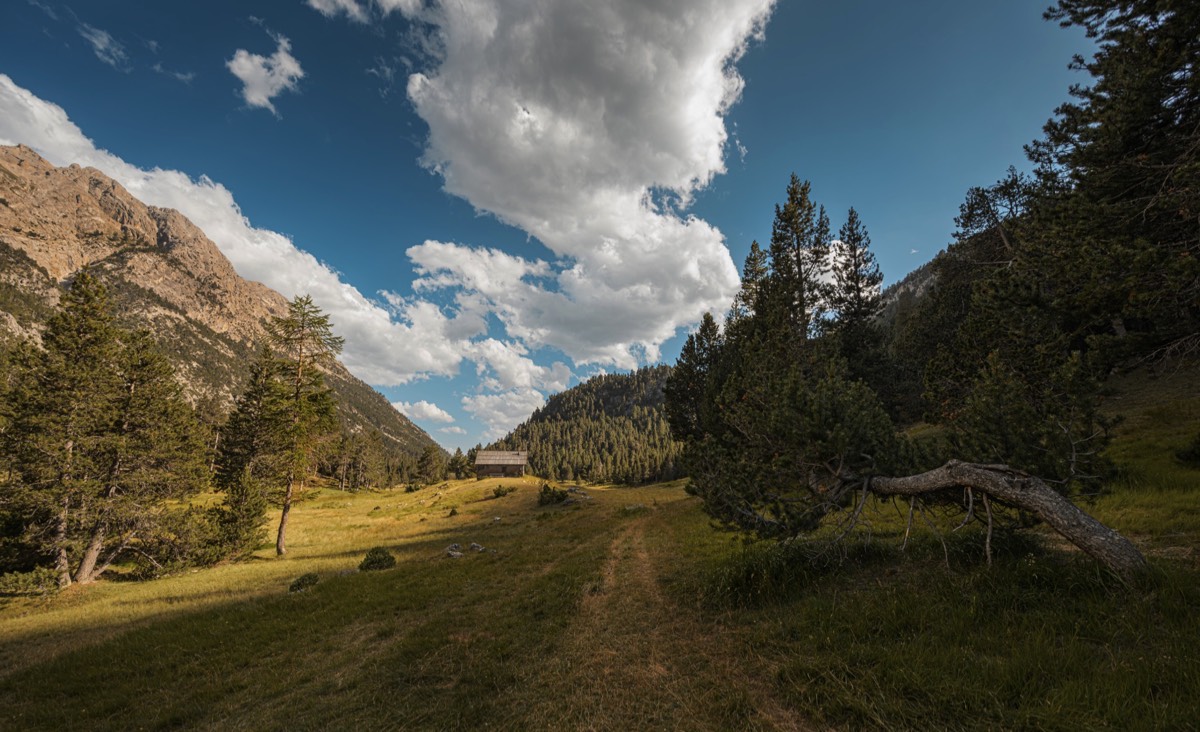 Stacks Image 8758