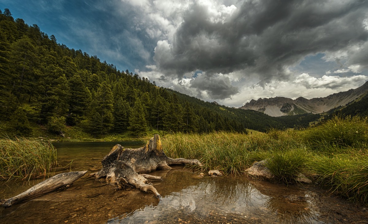 Stacks Image 8754