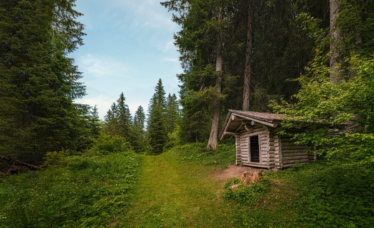 Stacks Image 8503