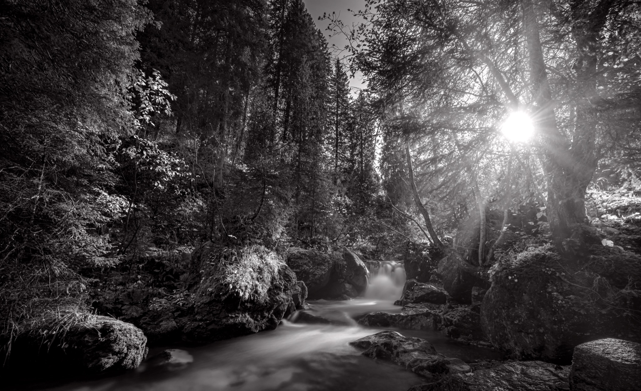  Whispering Waters 