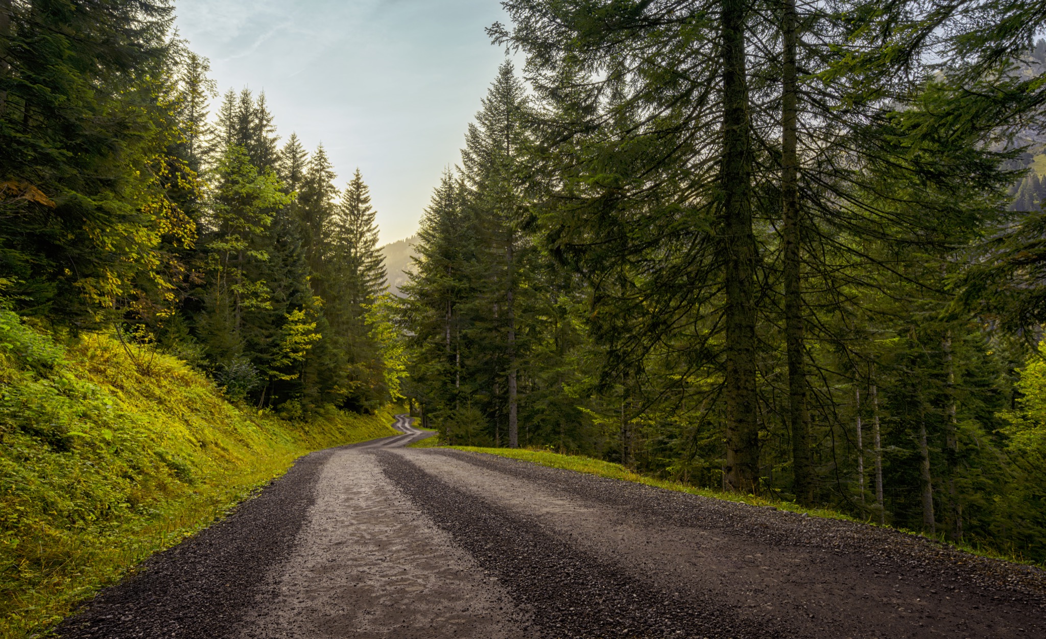  The Lost Road 