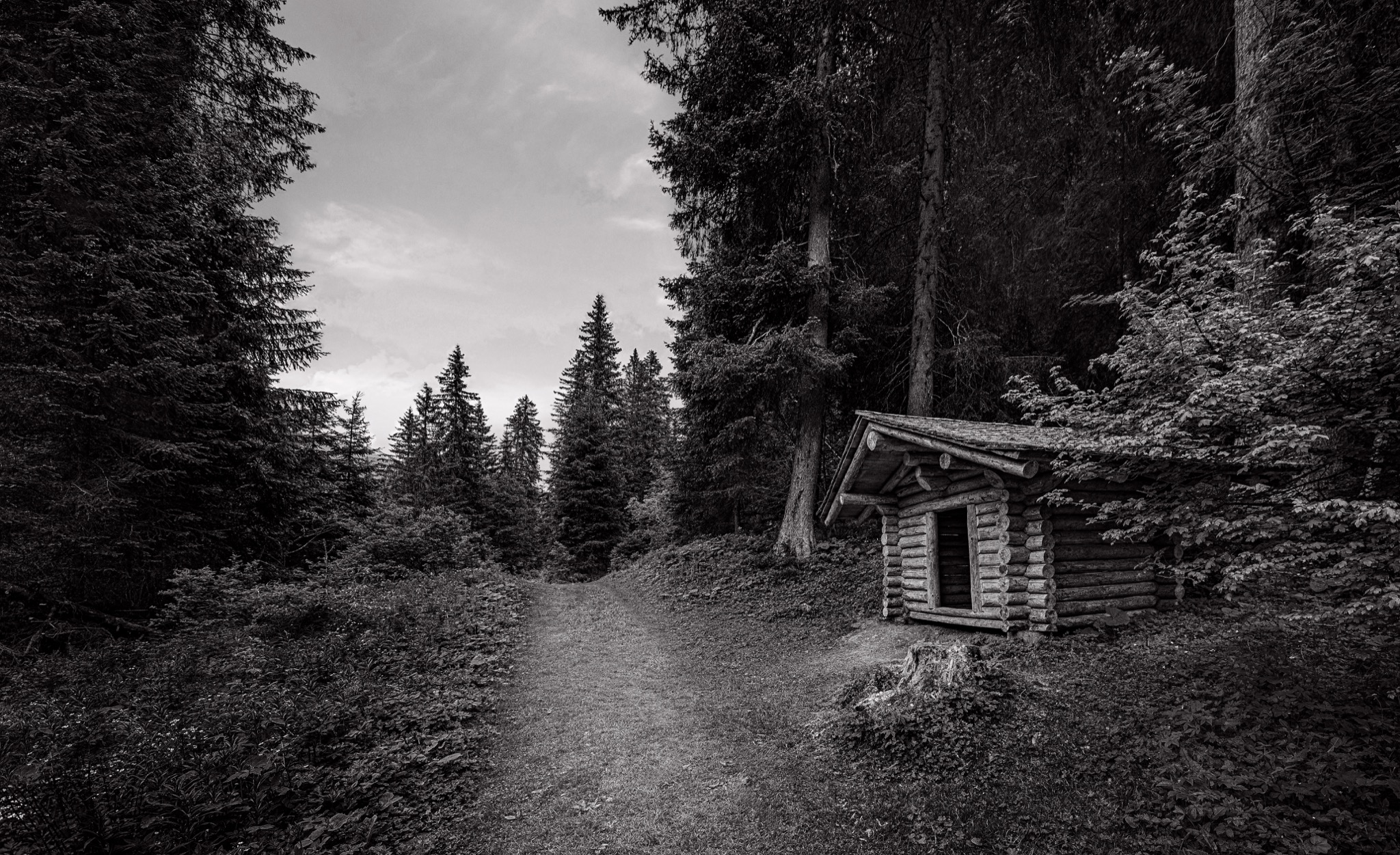 Trapper Hut 