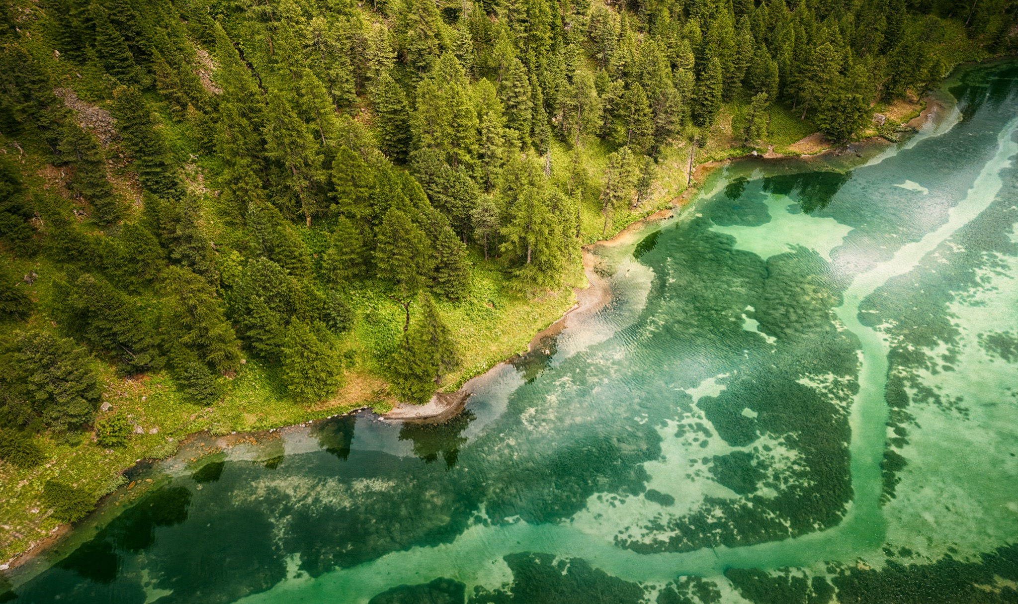  Green Lake And Black Needles 