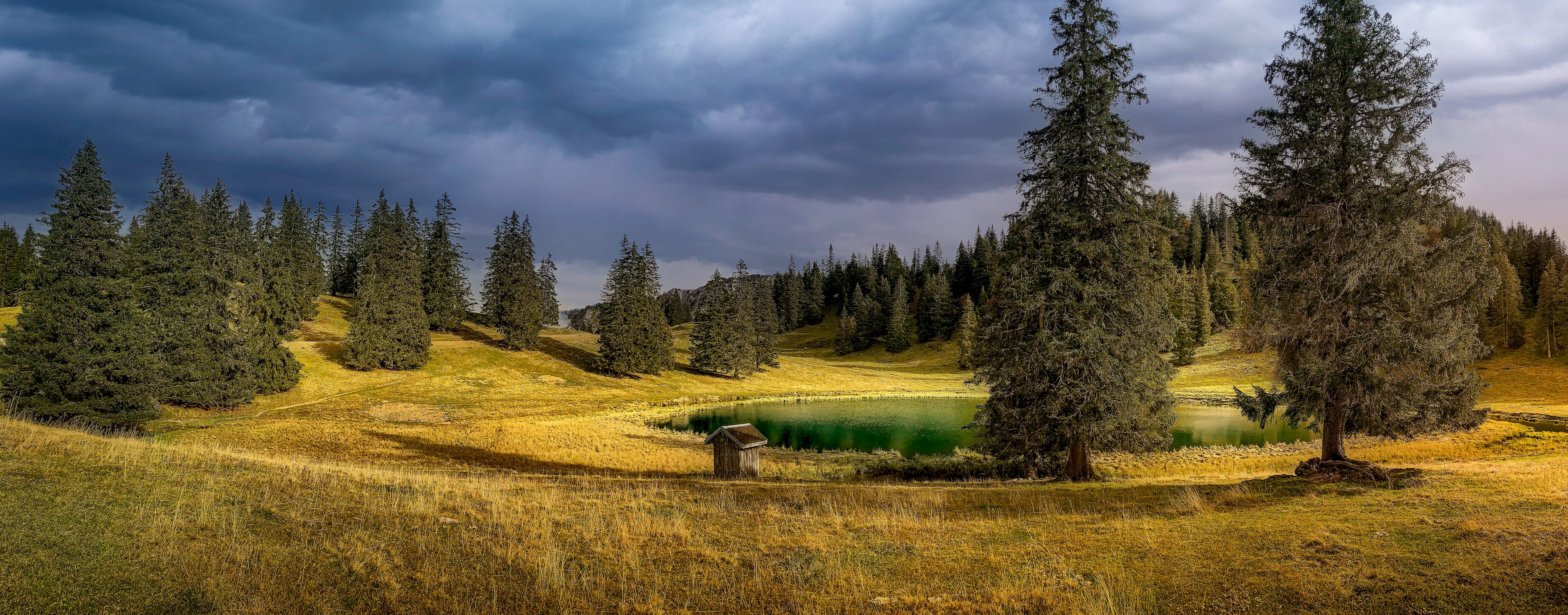 The Twins Trees Cottage 