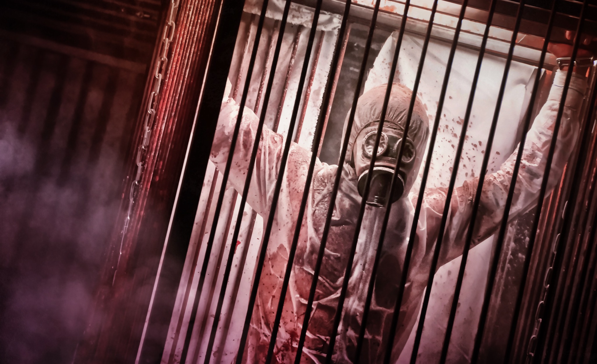  The Cage 