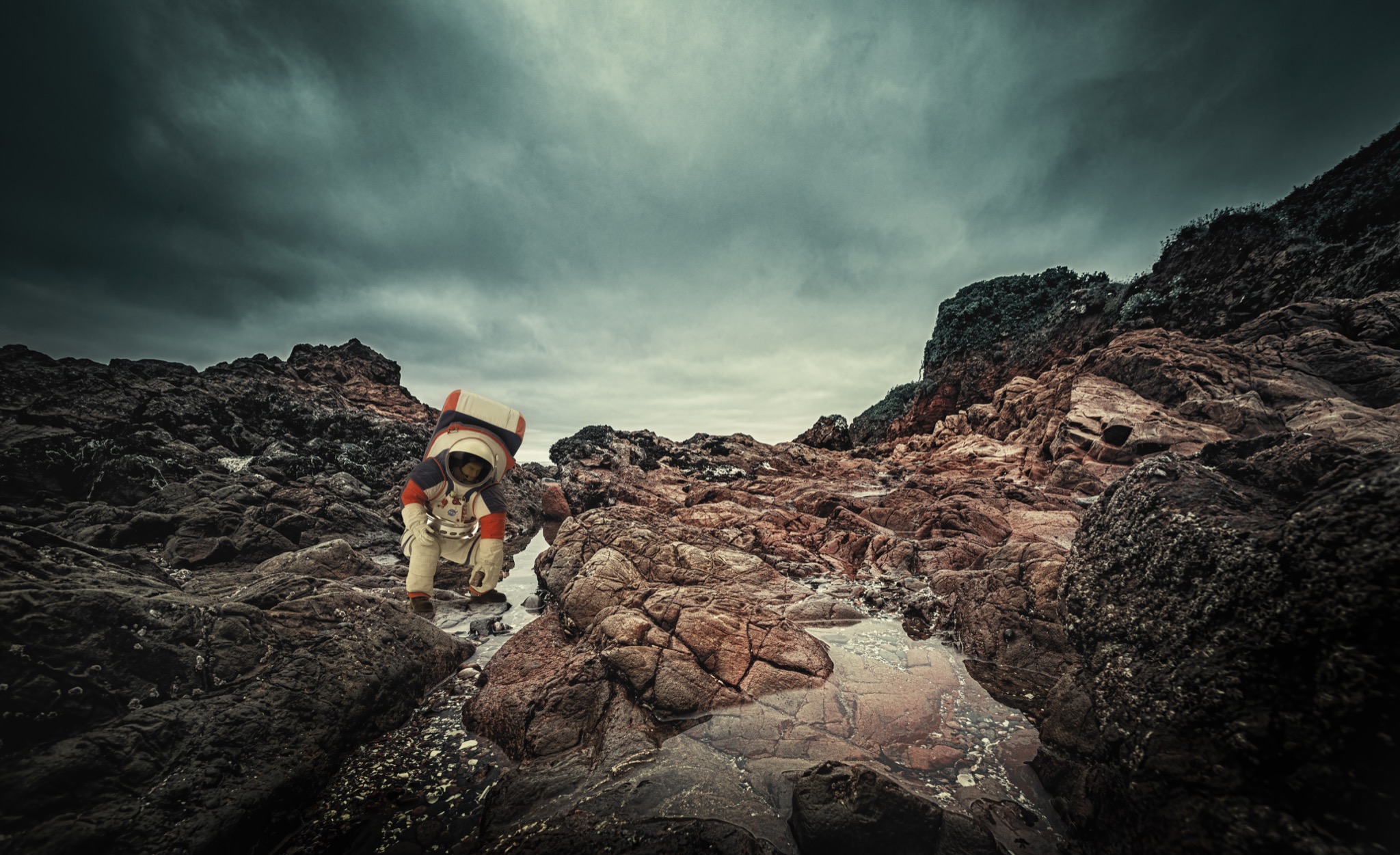  Forbidden Planet 