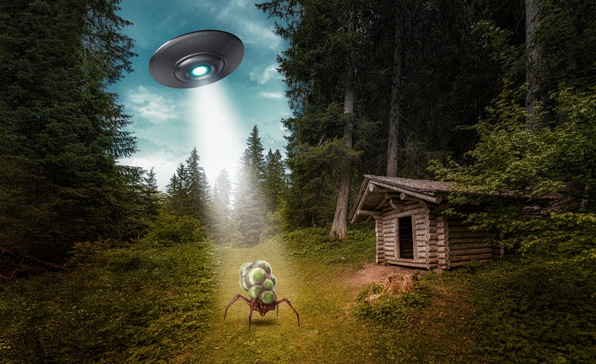  Invasion 
