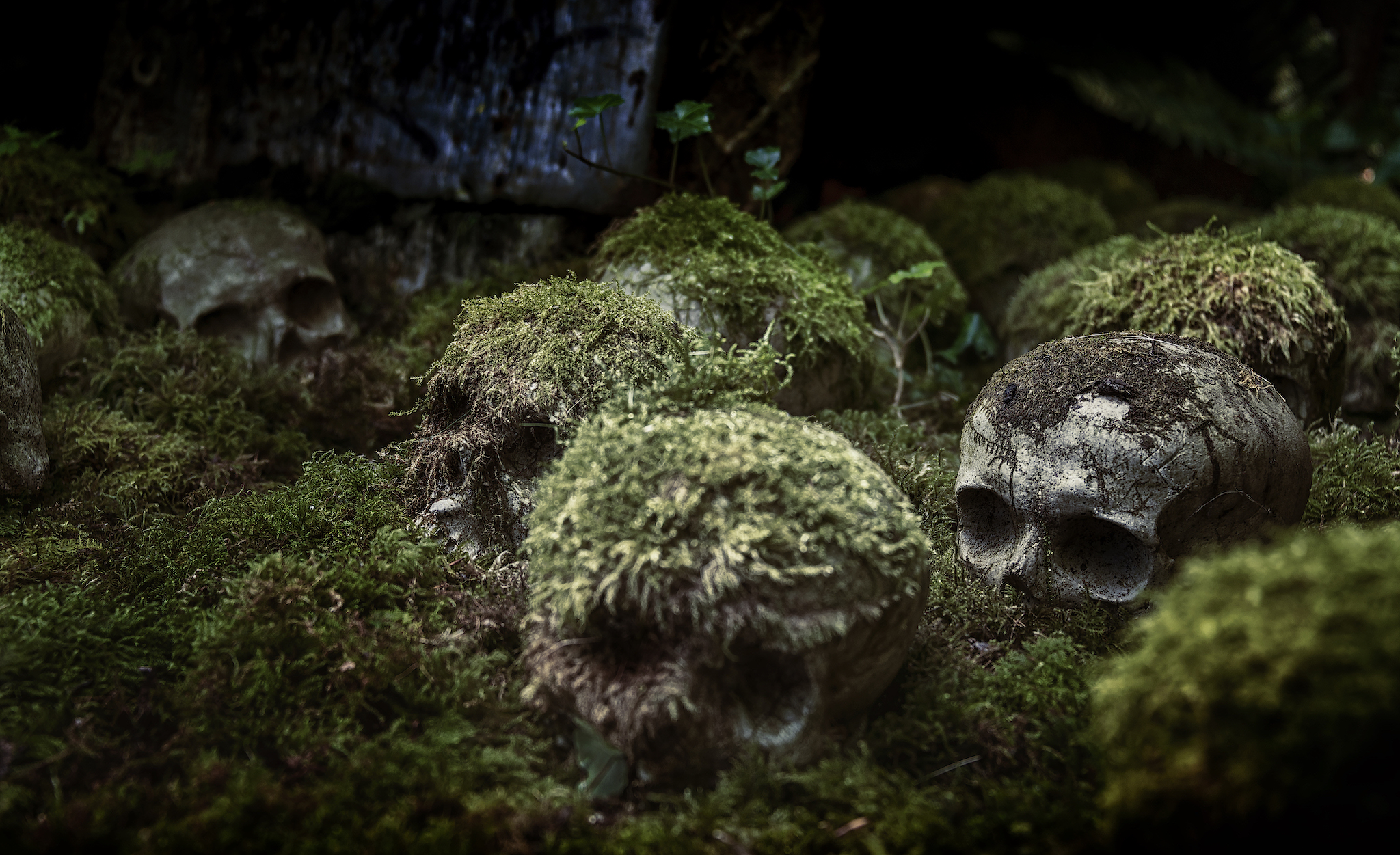  Hanging Heads 