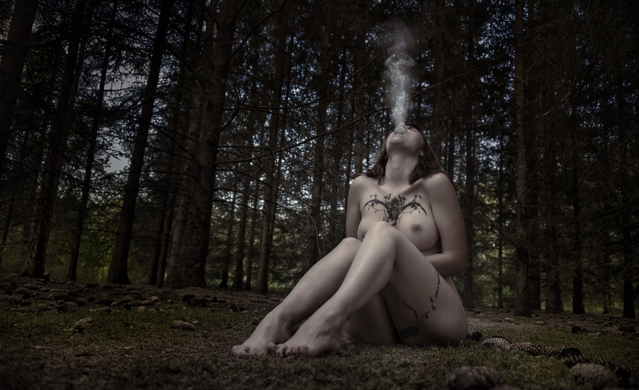  Unearthly Forest 
