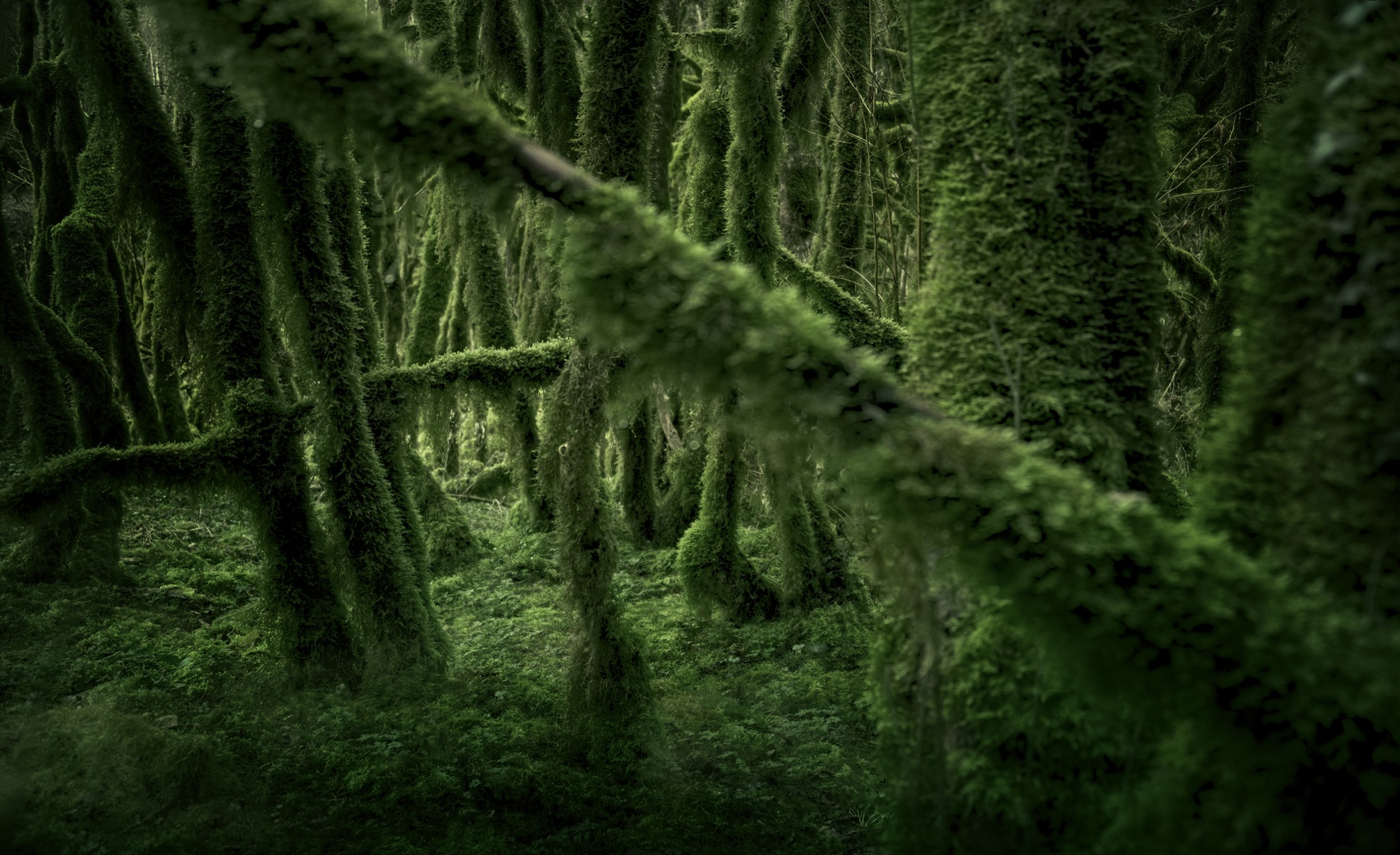  Echoes Of Origin 